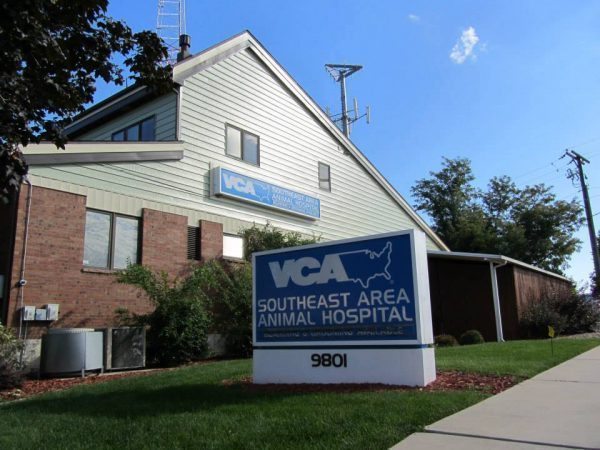 steel siding installation Paramount Siding & Windows Denver